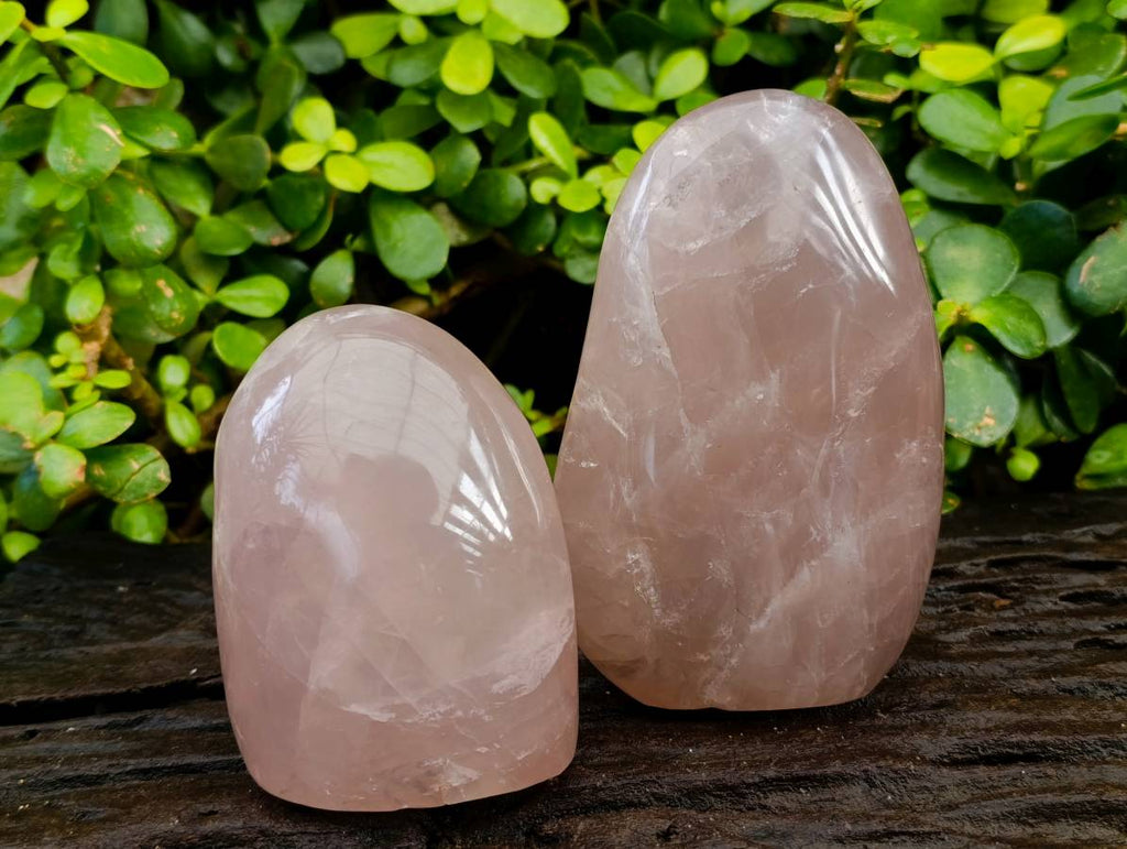 Polished Rose Quartz Standing Free Forms x 2 Madagascar - Toprock Gemstones and Minerals 