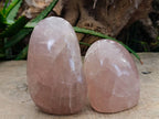 Polished Rose Quartz Standing Free Forms x 2 Madagascar - Toprock Gemstones and Minerals 