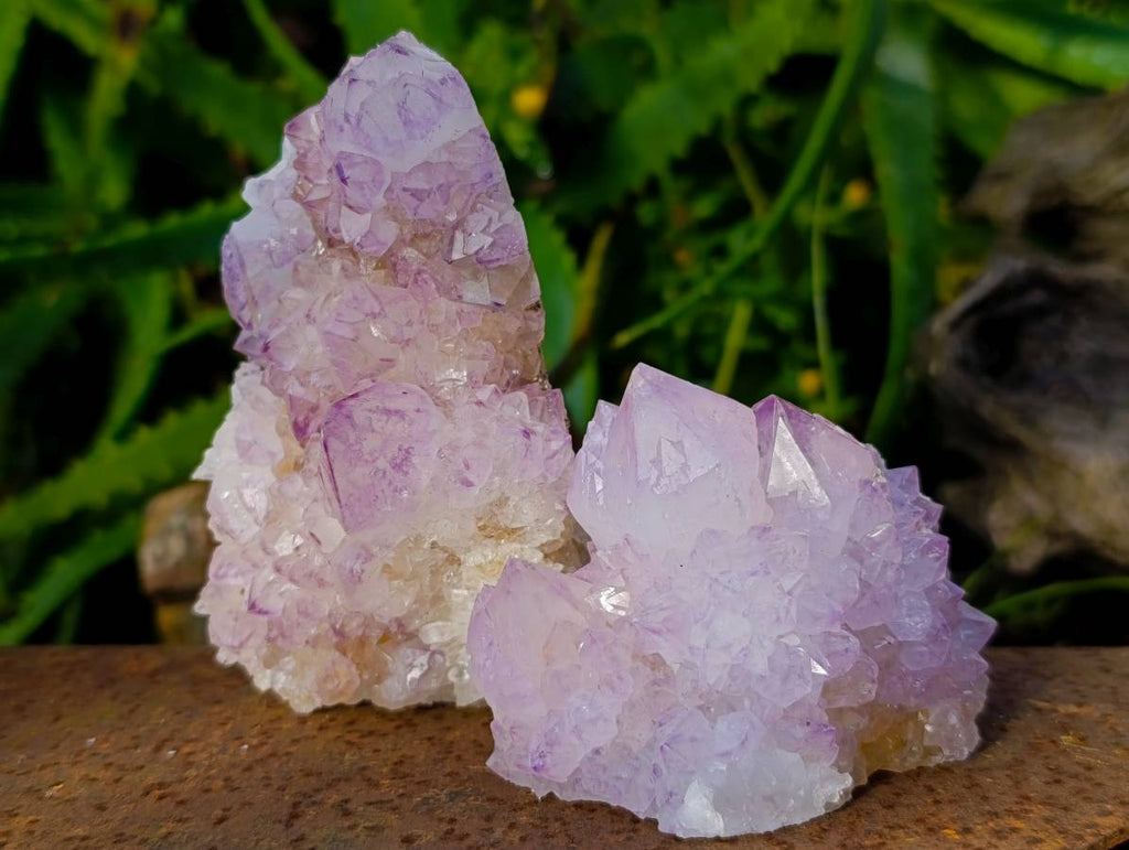 Natural Amethyst Spirit Quartz Clusters x 6 From Boekenhouthoek, South Africa - Toprock Gemstones and Minerals 