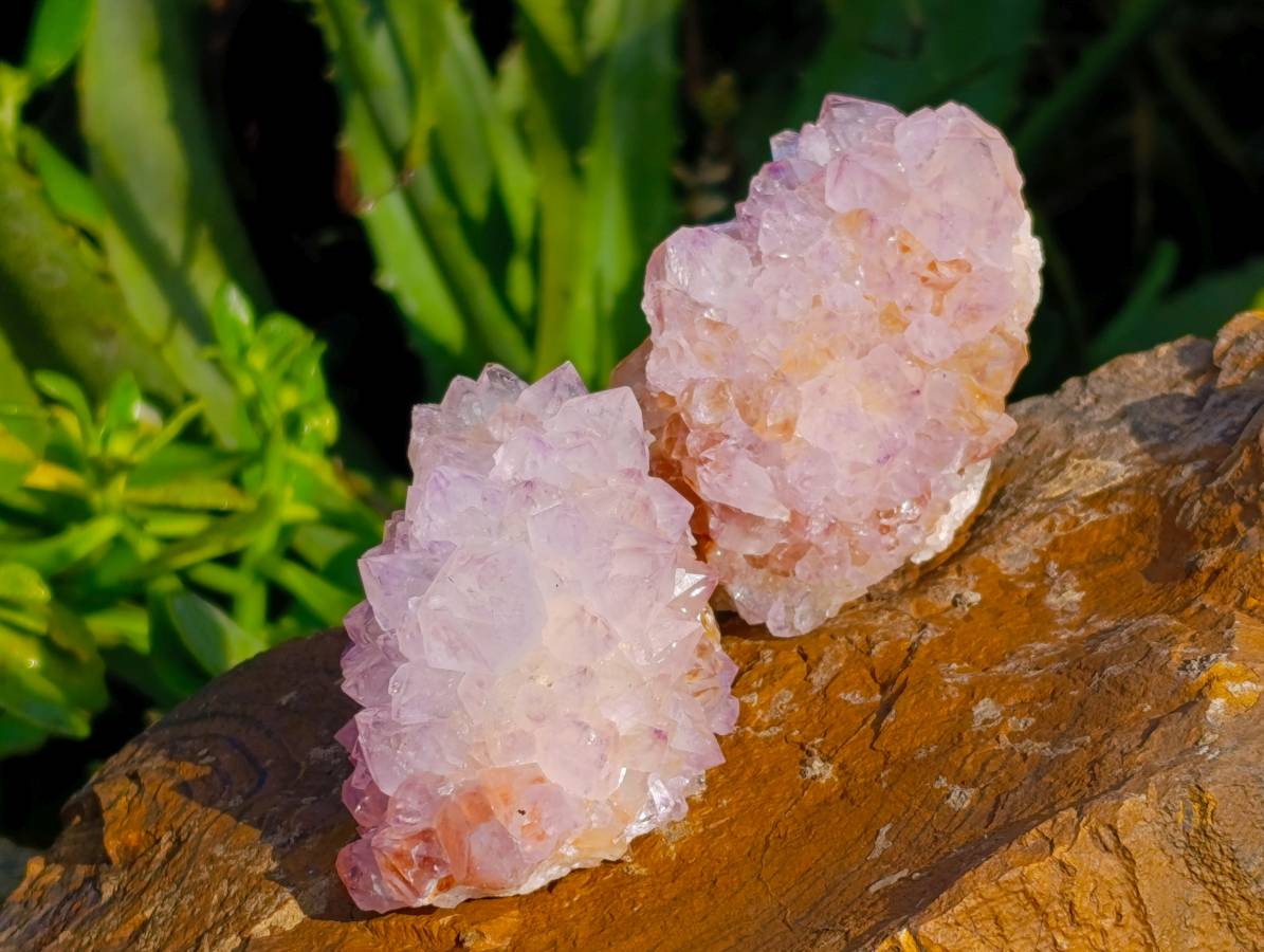 Natural Amethyst Spirit Quartz Clusters x 6 From Boekenhouthoek, South Africa - Toprock Gemstones and Minerals 
