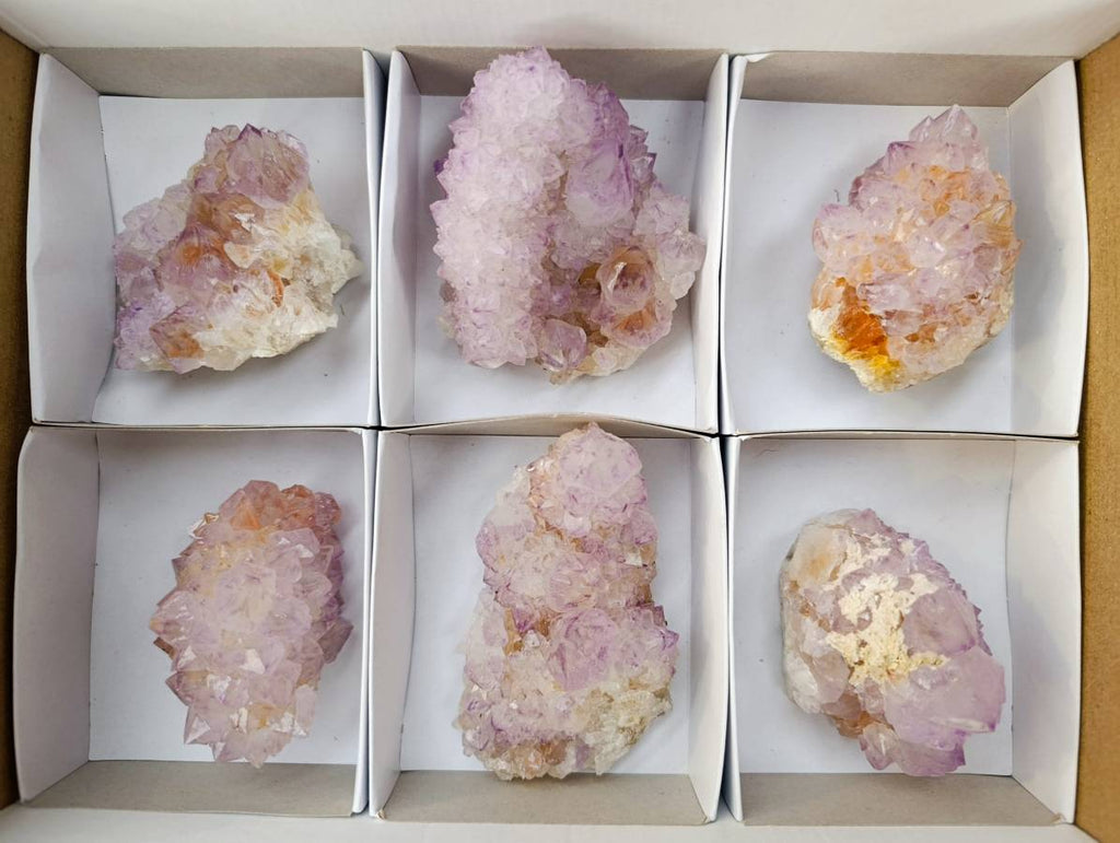 Natural Amethyst Spirit Quartz Clusters x 6 From Boekenhouthoek, South Africa - Toprock Gemstones and Minerals 