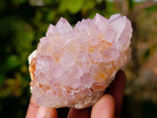 Natural Amethyst Spirit Quartz Clusters x 6 From Boekenhouthoek, South Africa