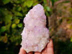 Natural Amethyst Spirit Quartz Clusters x 6 From Boekenhouthoek, South Africa - Toprock Gemstones and Minerals 