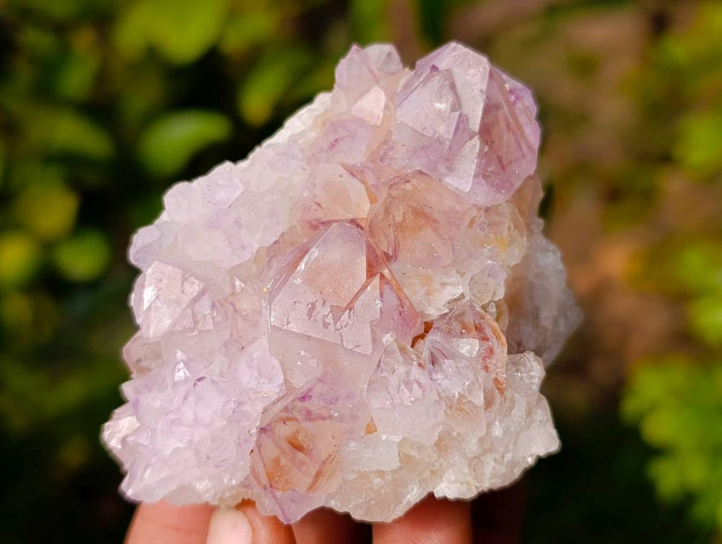 Natural Amethyst Spirit Quartz Clusters x 6 From Boekenhouthoek, South Africa - Toprock Gemstones and Minerals 