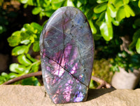 Polished Labradorite Standing Free Forms x 2 From Tulear, Madagascar - Toprock Gemstones and Minerals 