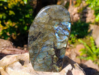 Polished Labradorite Standing Free Forms x 2 From Tulear, Madagascar - Toprock Gemstones and Minerals 