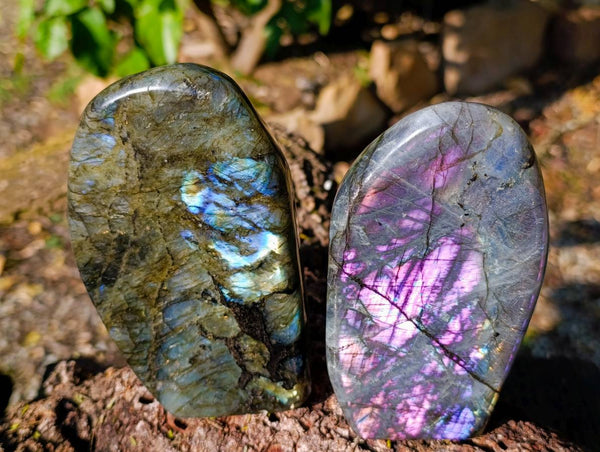 Polished Labradorite Standing Free Forms x 2 From Tulear, Madagascar - Toprock Gemstones and Minerals 