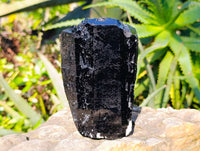 Natural Schorl Black Tourmaline Specimens x 2 From Erongo, Namibia