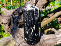 Natural Schorl Black Tourmaline Specimens x 2 From Erongo, Namibia