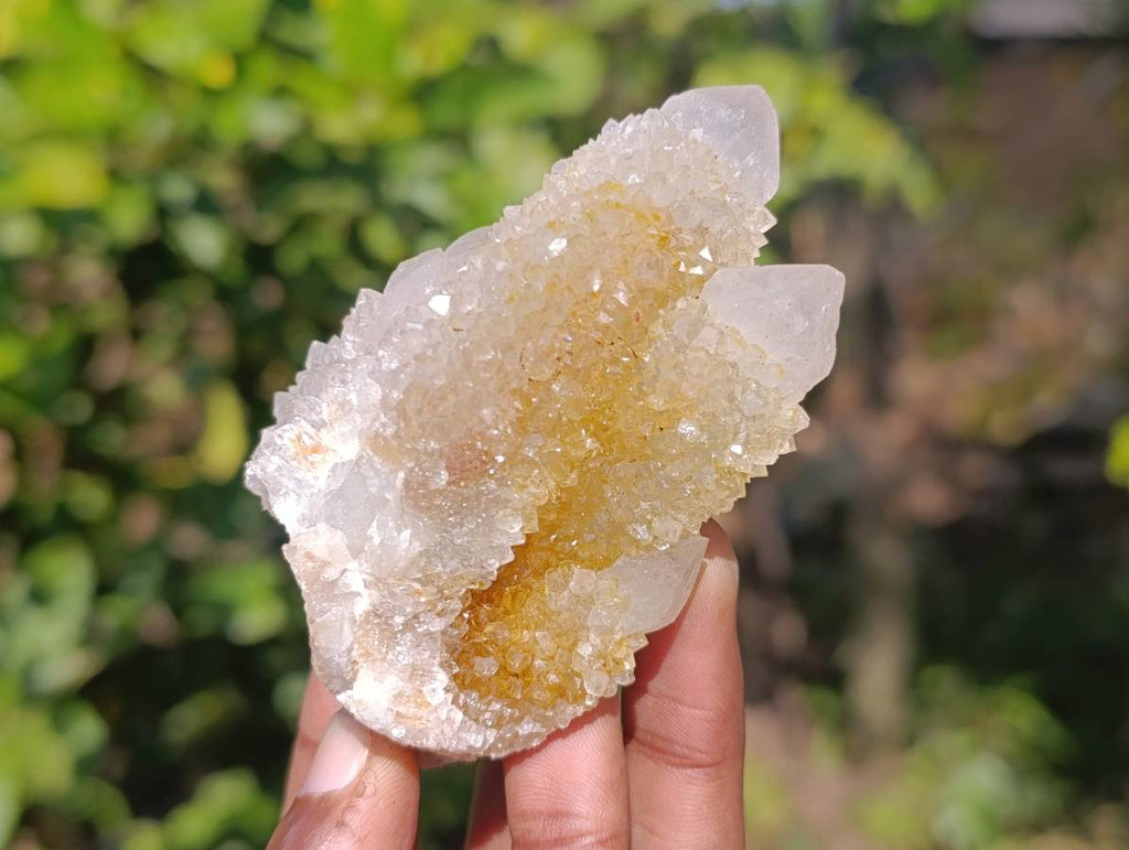Natural Spirit Quartz Clusters x 12 From Boekenhouthoek, South Africa - Toprock Gemstones and Minerals 