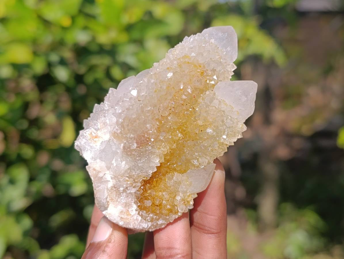 Natural Spirit Quartz Clusters x 12 From Boekenhouthoek, South Africa - Toprock Gemstones and Minerals 