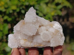 Natural Spirit Quartz Clusters x 12 From Boekenhouthoek, South Africa - Toprock Gemstones and Minerals 