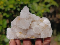 Natural Spirit Quartz Clusters x 12 From Boekenhouthoek, South Africa