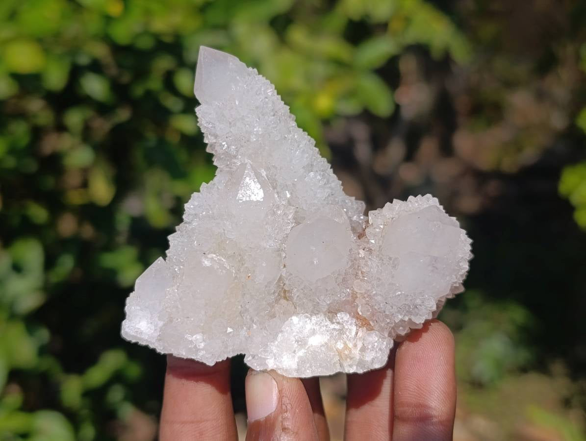 Natural Spirit Quartz Clusters x 12 From Boekenhouthoek, South Africa - Toprock Gemstones and Minerals 