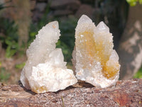 Natural Spirit Quartz Clusters x 12 From Boekenhouthoek, South Africa