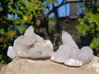 Natural Spirit Quartz Clusters x 12 From Boekenhouthoek, South Africa - Toprock Gemstones and Minerals 