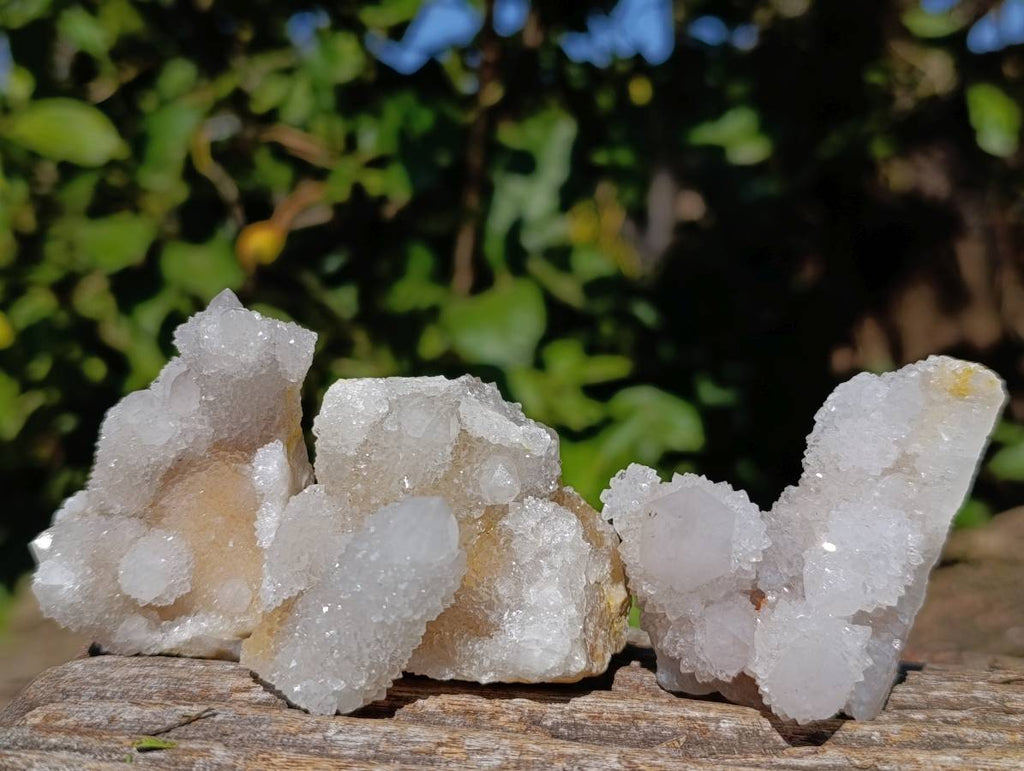 Natural Spirit Quartz Clusters x 12 From Boekenhouthoek, South Africa - Toprock Gemstones and Minerals 