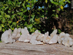 Natural Spirit Quartz Clusters x 12 From Boekenhouthoek, South Africa - Toprock Gemstones and Minerals 