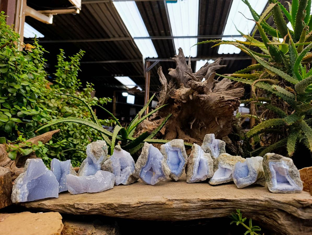 Natural Blue Lace Agate Geode Specimens x 12 From Nsanje, Malawi - Toprock Gemstones and Minerals 