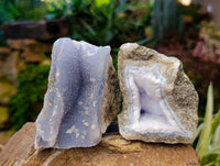 Natural Blue Lace Agate Geode Specimens x 12 From Nsanje, Malawi