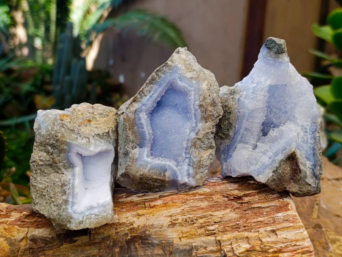 Natural Blue Lace Agate Geode Specimens x 12 From Nsanje, Malawi - Toprock Gemstones and Minerals 