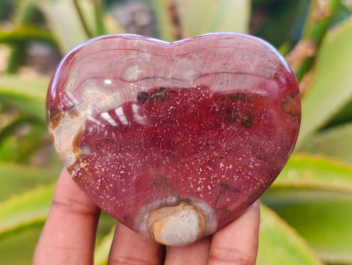 Polished Fossilized Podocarpus Petrified Wood Hearts x 3 From Mahajanga, Madagascar - Toprock Gemstones and Minerals 