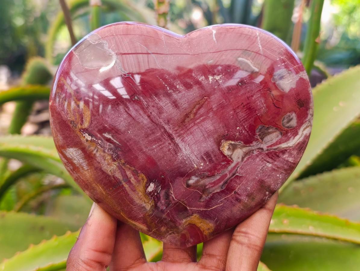 Polished Fossilized Podocarpus Petrified Wood Hearts x 3 From Mahajanga, Madagascar - Toprock Gemstones and Minerals 