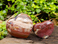 Polished Fossilized Podocarpus Petrified Wood Hearts x 3 From Mahajanga, Madagascar