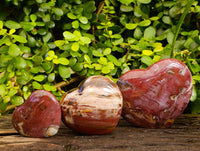 Polished Fossilized Podocarpus Petrified Wood Hearts x 3 From Mahajanga, Madagascar