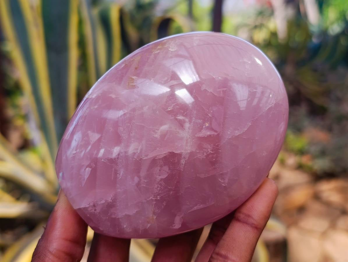 Polished Rose Quartz Standing Free Forms x 3 Madagascar - Toprock Gemstones and Minerals 