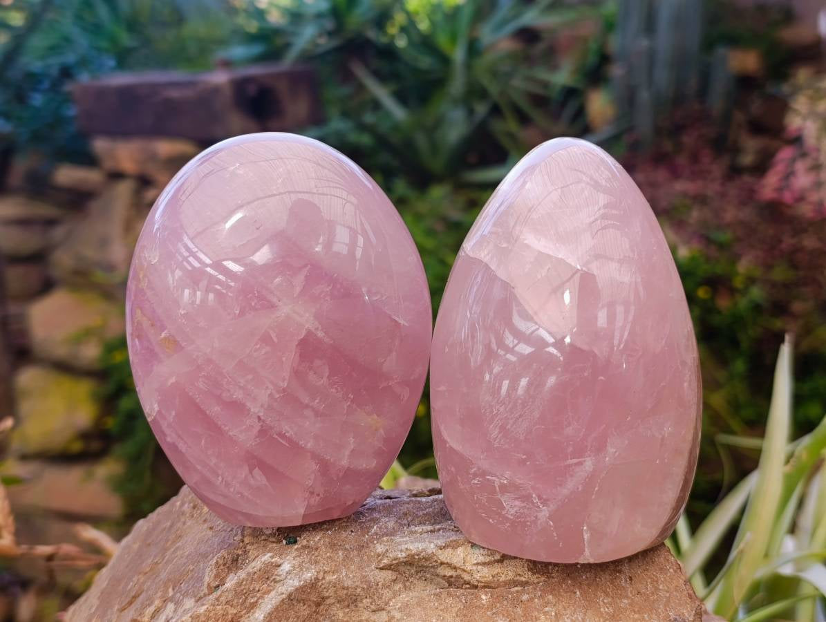 Polished Rose Quartz Standing Free Forms x 3 Madagascar - Toprock Gemstones and Minerals 
