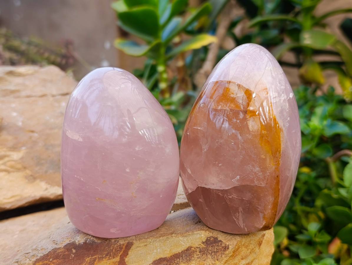 Polished Rose Quartz Standing Free Forms x 3 Madagascar - Toprock Gemstones and Minerals 