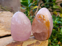 Polished Rose Quartz Standing Free Forms x 3 Madagascar - Toprock Gemstones and Minerals 