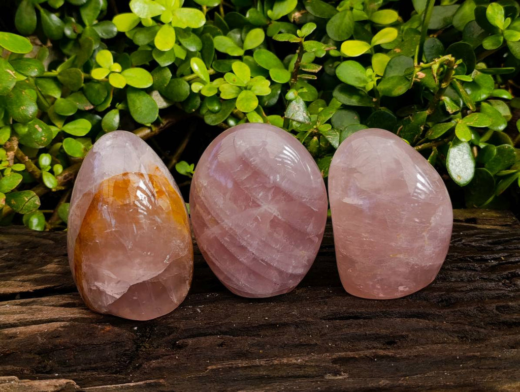 Polished Rose Quartz Standing Free Forms x 3 Madagascar - Toprock Gemstones and Minerals 