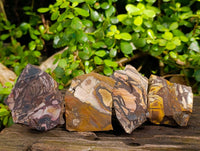 Natural Selected Nguni Jasper Cobbed Specimens x 24 From Prieska, South Africa