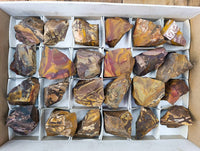 Natural Selected Nguni Jasper Cobbed Specimens x 24 From Prieska, South Africa