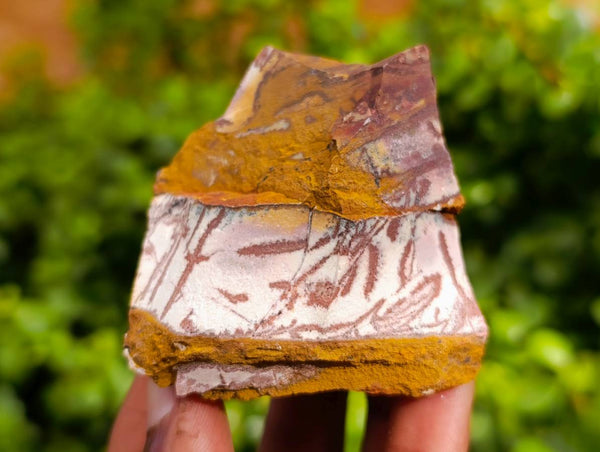 Natural Selected Nguni Jasper Cobbed Specimens x 24 From Prieska, South Africa