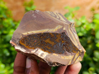 Natural Selected Nguni Jasper Cobbed Specimens x 24 From Prieska, South Africa