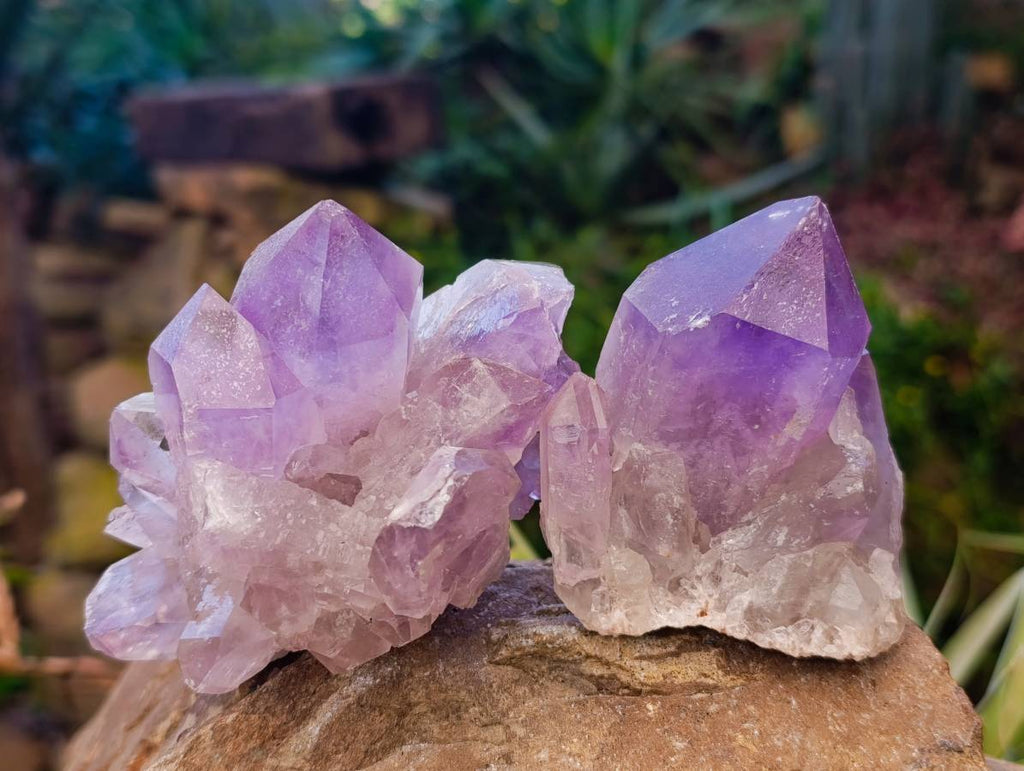 Natural Jacaranda Amethyst Quartz Clusters x 6 From Mumbwa, Zambia - Toprock Gemstones and Minerals 