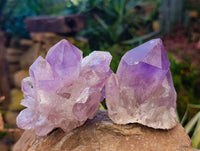 Natural Jacaranda Amethyst Quartz Clusters x 6 From Mumbwa, Zambia