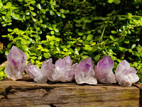 Natural Jacaranda Amethyst Quartz Clusters x 6 From Mumbwa, Zambia