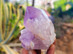 Natural Jacaranda Amethyst Quartz Clusters x 6 From Mumbwa, Zambia - Toprock Gemstones and Minerals 