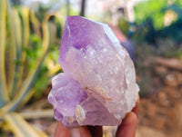 Natural Jacaranda Amethyst Quartz Clusters x 6 From Mumbwa, Zambia
