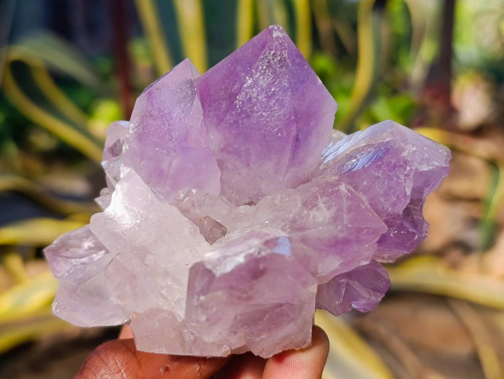 Natural Jacaranda Amethyst Quartz Clusters x 6 From Mumbwa, Zambia - Toprock Gemstones and Minerals 