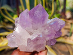 Natural Jacaranda Amethyst Quartz Clusters x 6 From Mumbwa, Zambia - Toprock Gemstones and Minerals 