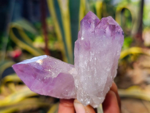 Natural Jacaranda Amethyst Quartz Clusters x 6 From Mumbwa, Zambia