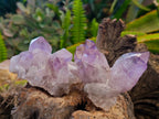 Natural Jacaranda Amethyst Quartz Clusters x 6 From Mumbwa, Zambia - Toprock Gemstones and Minerals 