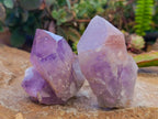 Natural Jacaranda Amethyst Quartz Clusters x 6 From Mumbwa, Zambia - Toprock Gemstones and Minerals 