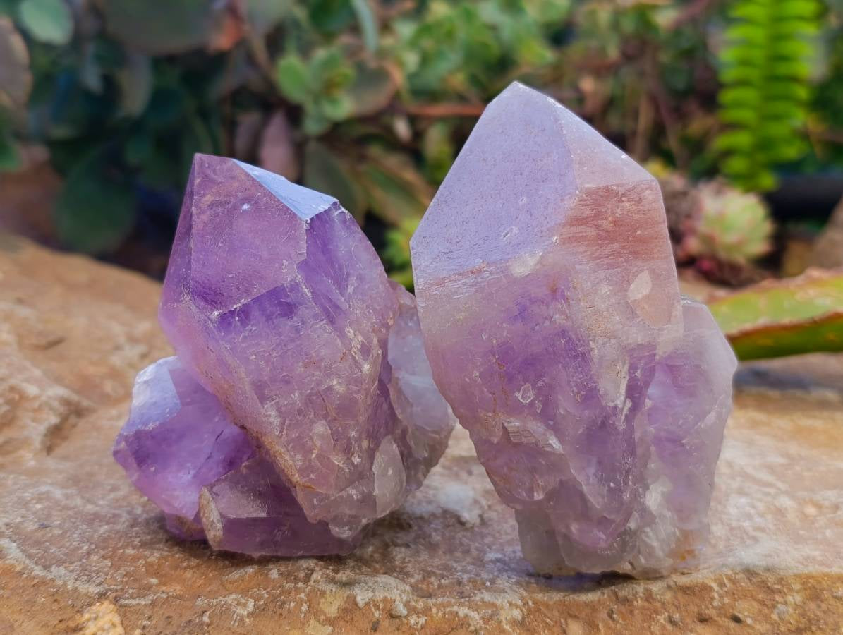 Natural Jacaranda Amethyst Quartz Clusters x 6 From Mumbwa, Zambia - Toprock Gemstones and Minerals 