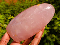 Polished Rose Quartz Standing Free Forms x 3 Madagascar - Toprock Gemstones and Minerals 